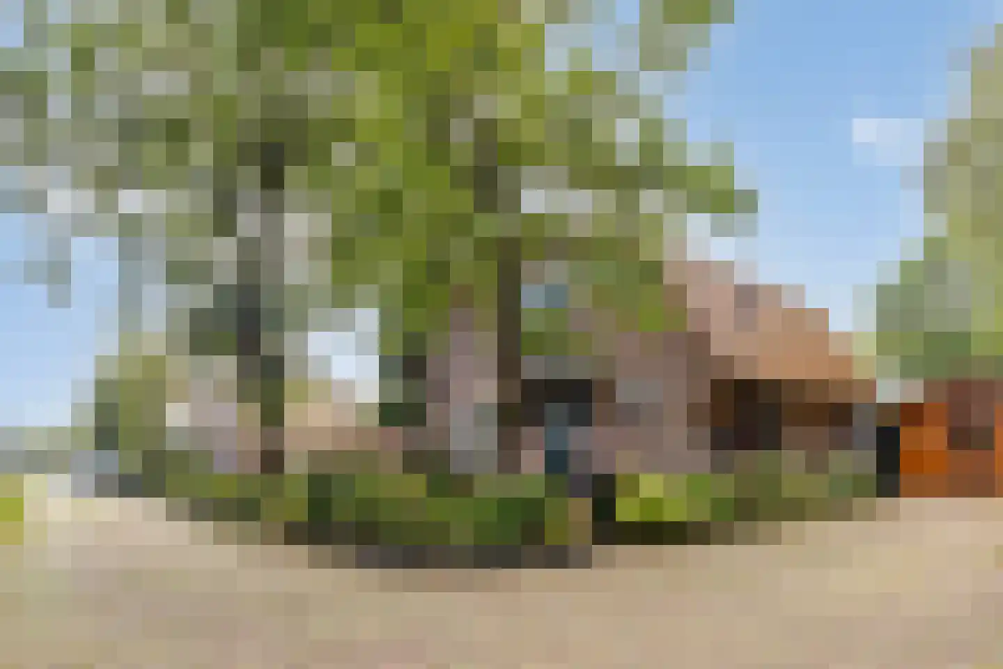 Duinweg 135 Noordwijk thumbnail 38