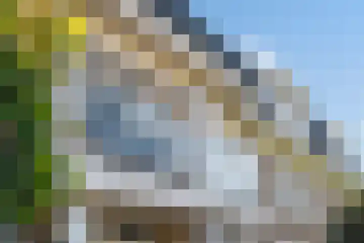 Duinweg 14 G Noordwijk thumbnail 4