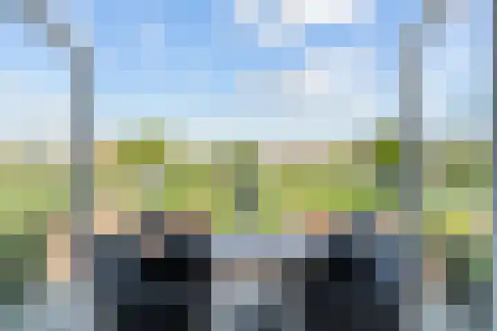 Duinweg 14 G Noordwijk thumbnail 5