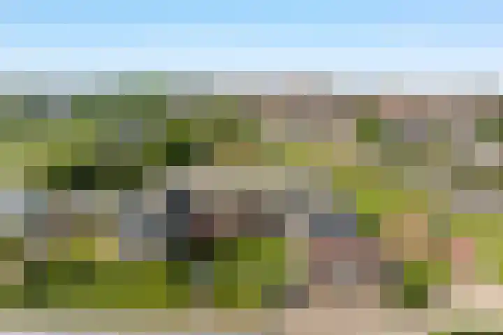 Duinweg 14 N Noordwijk thumbnail 27