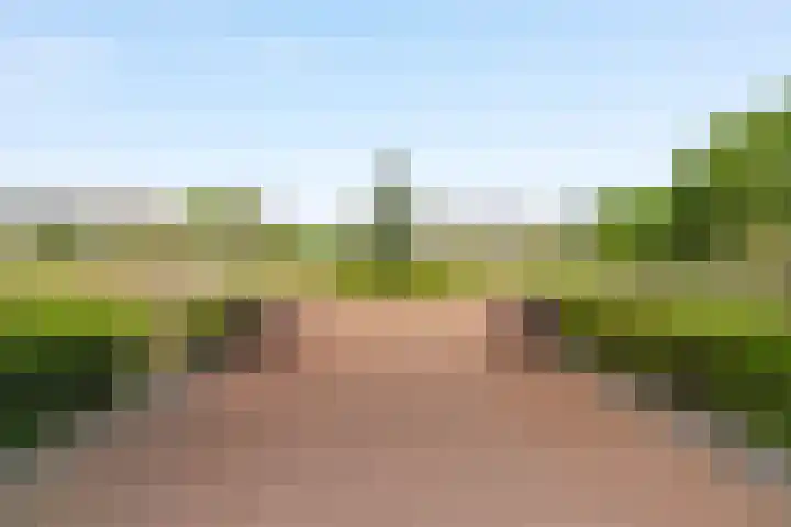 Duinweg 14 N Noordwijk thumbnail 5