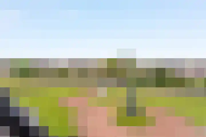 Duinweg 14 N Noordwijk thumbnail 8