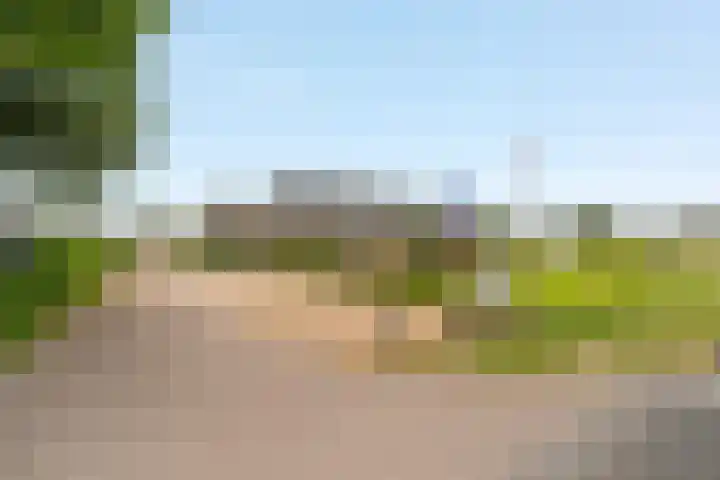 Duinweg 14 O Noordwijk thumbnail 5