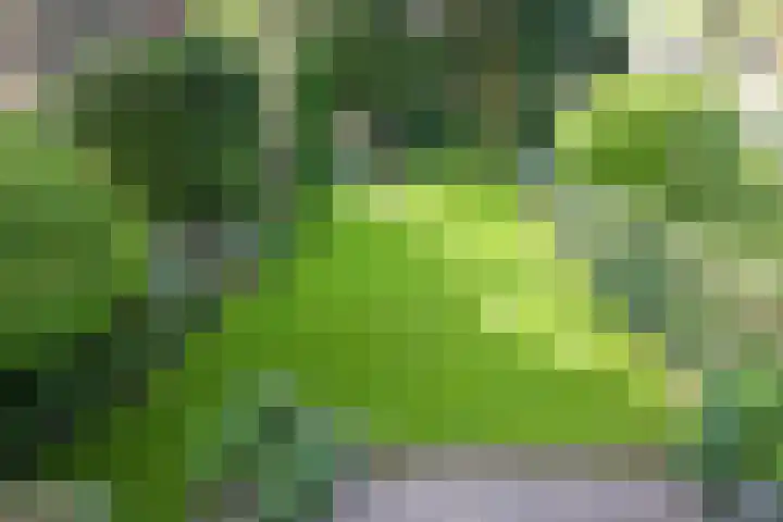 Duinweg 15 Wassenaar thumbnail 14
