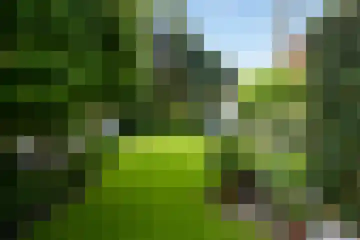 Duinweg 15 Wassenaar thumbnail 20