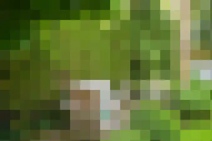 Duinweg 15 Wassenaar thumbnail 21