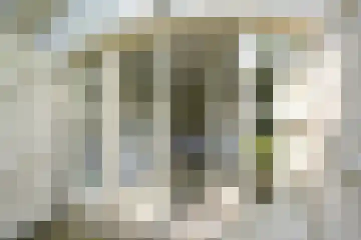 Duinweg 15 Wassenaar thumbnail 23