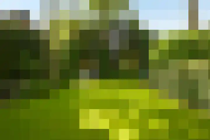 Duinweg 15 Wassenaar thumbnail 27