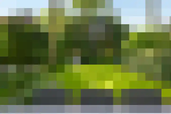 Duinweg 15 Wassenaar thumbnail 8