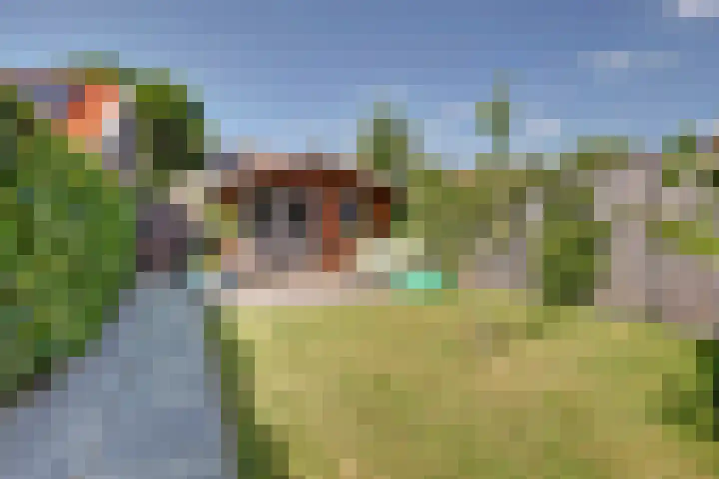 Duinweg 18 Egmond-Binnen thumbnail 37