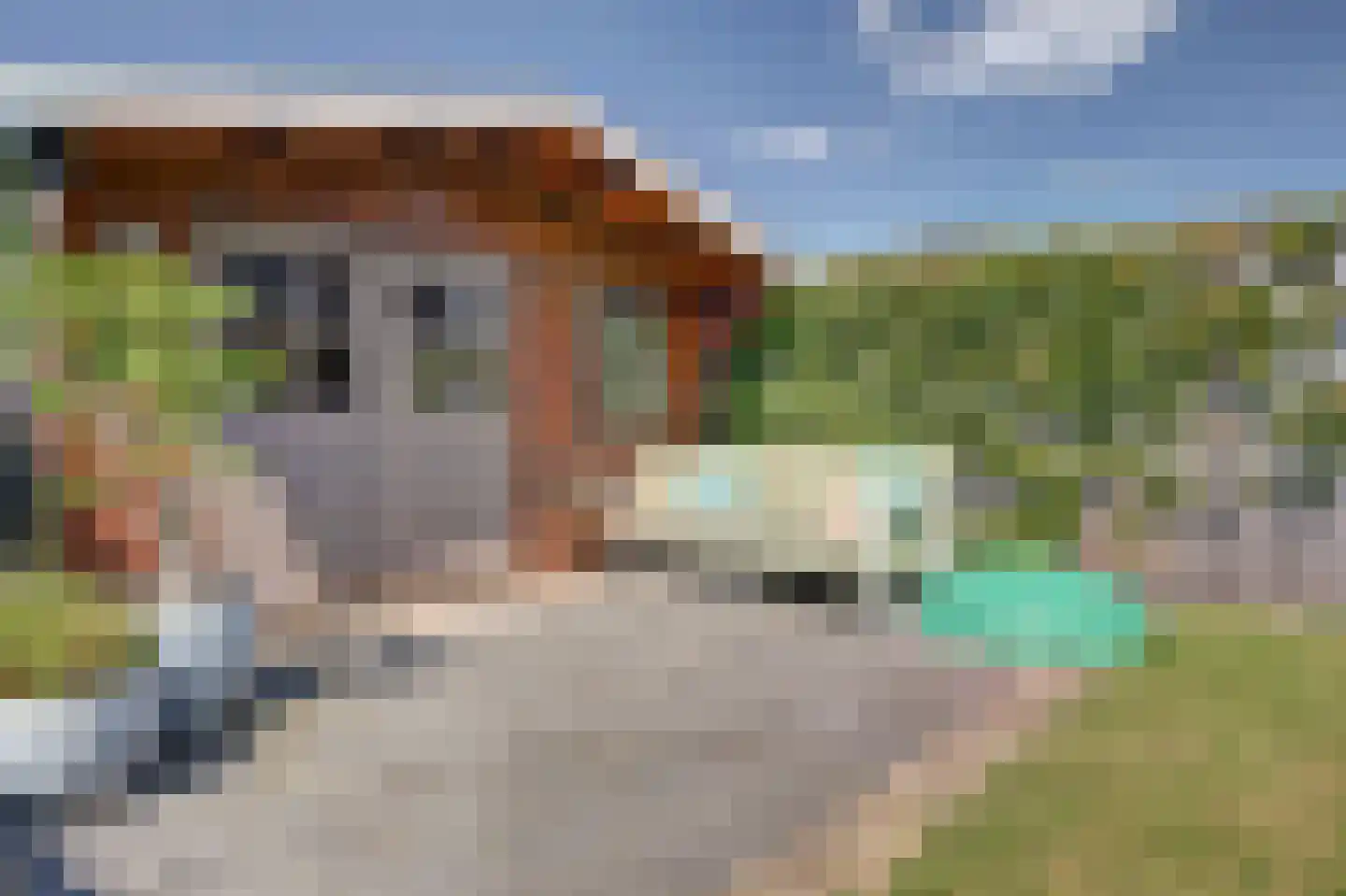 Duinweg 18 Egmond-Binnen thumbnail 38