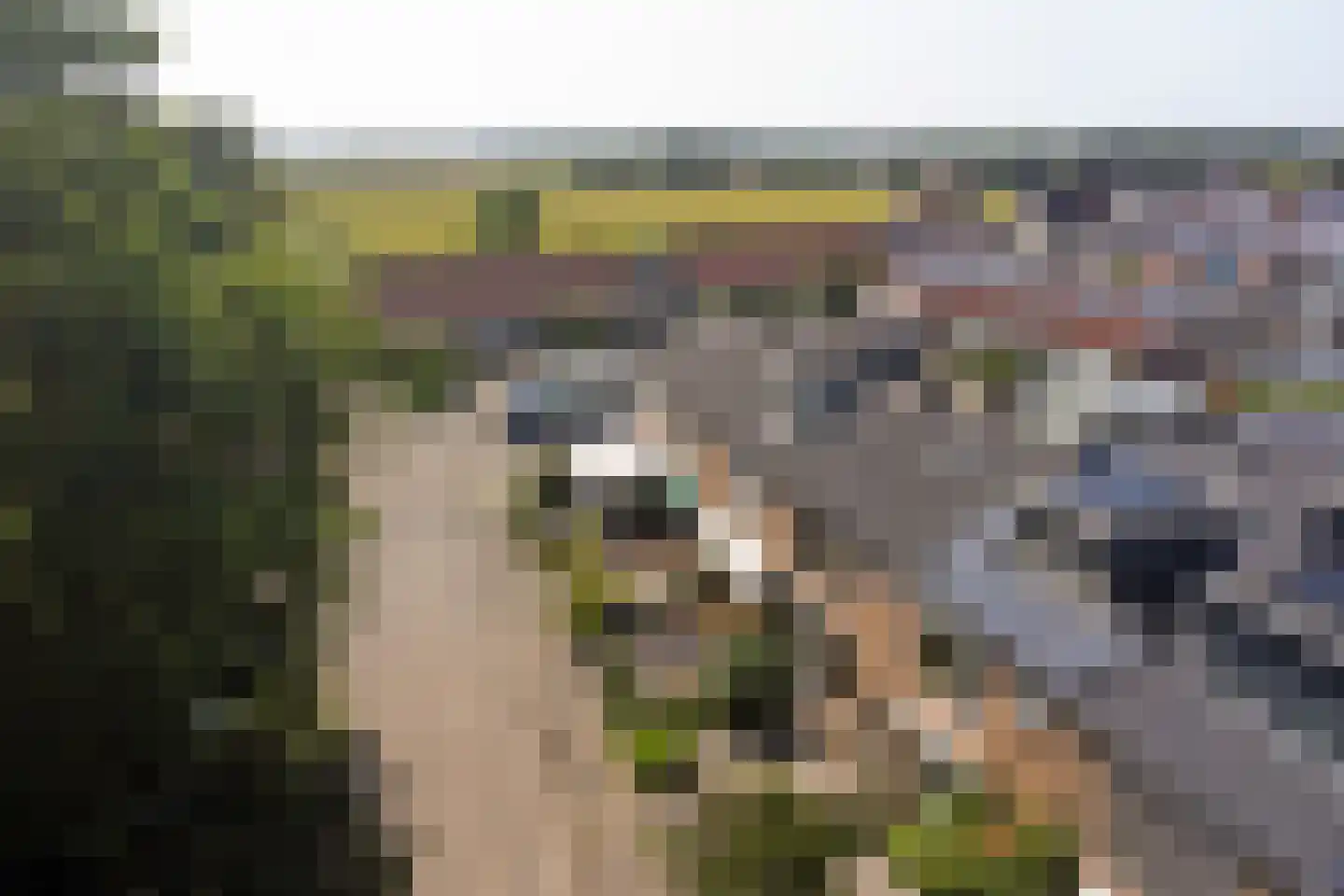 Duinweg 18 Egmond-Binnen thumbnail 46