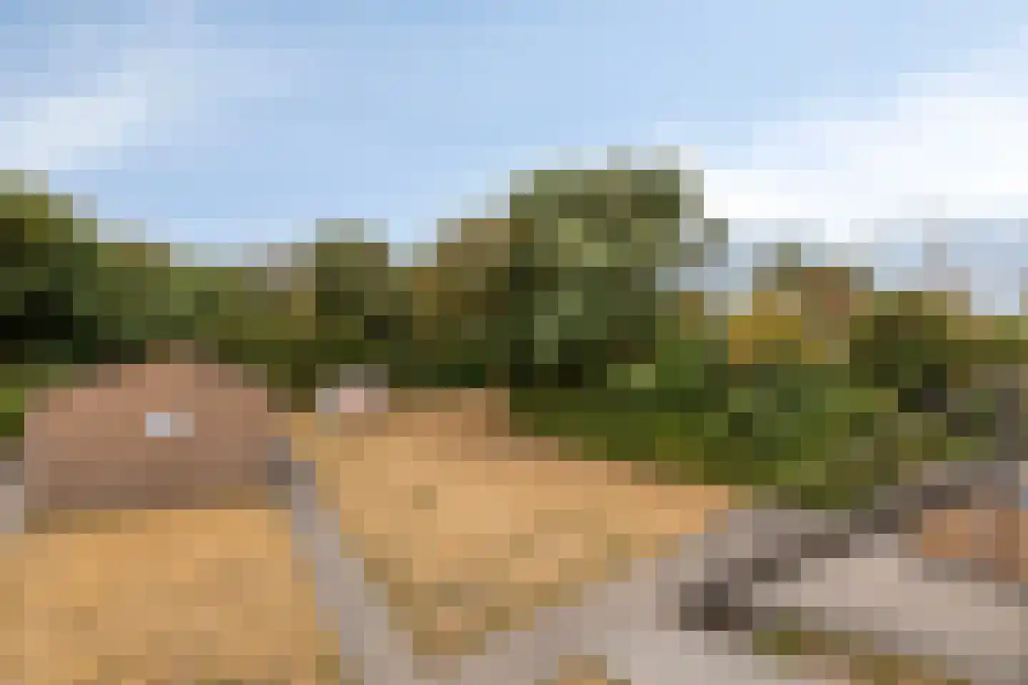 Duinweg 18 F Zoutelande thumbnail 14