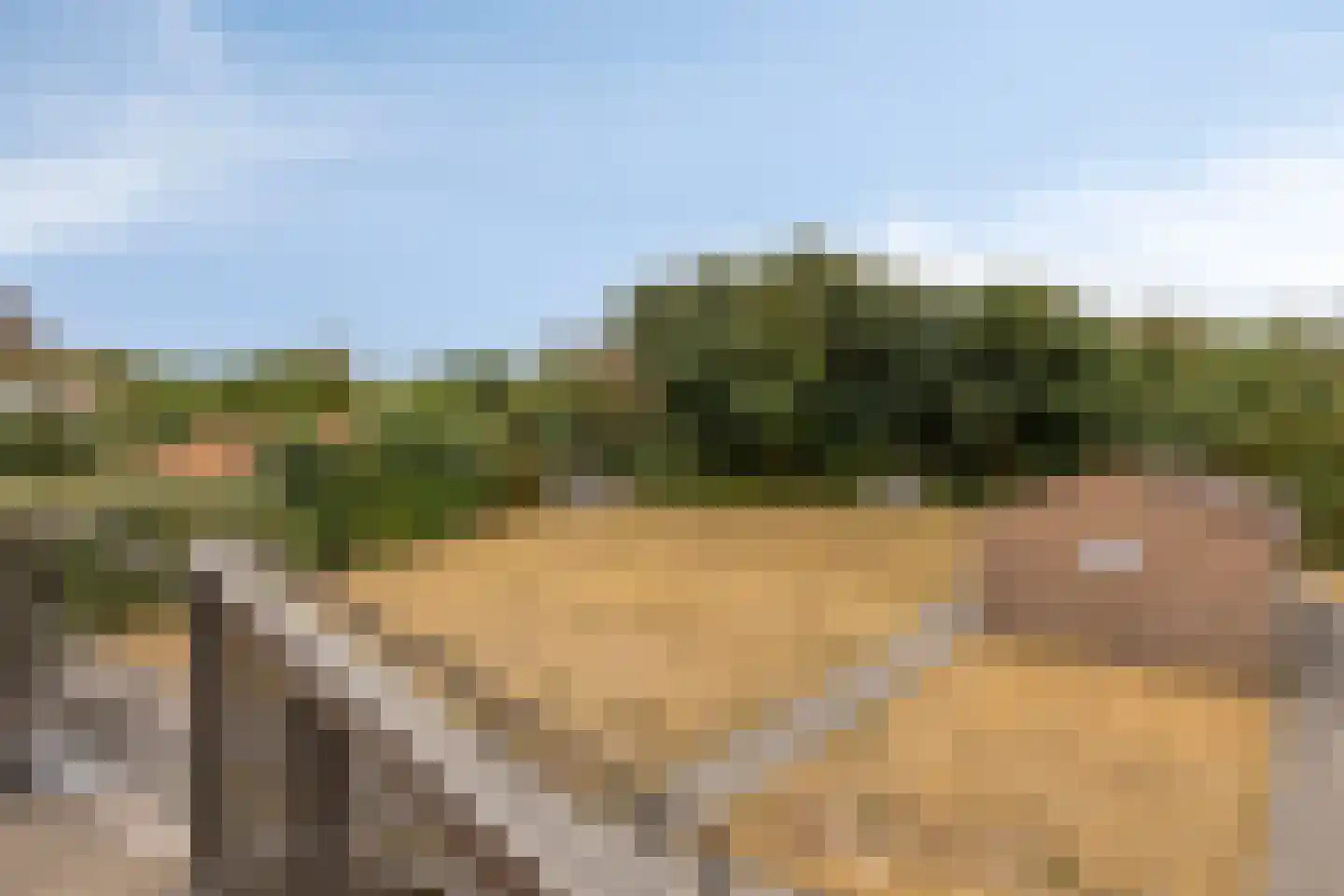 Duinweg 18 F Zoutelande thumbnail 15