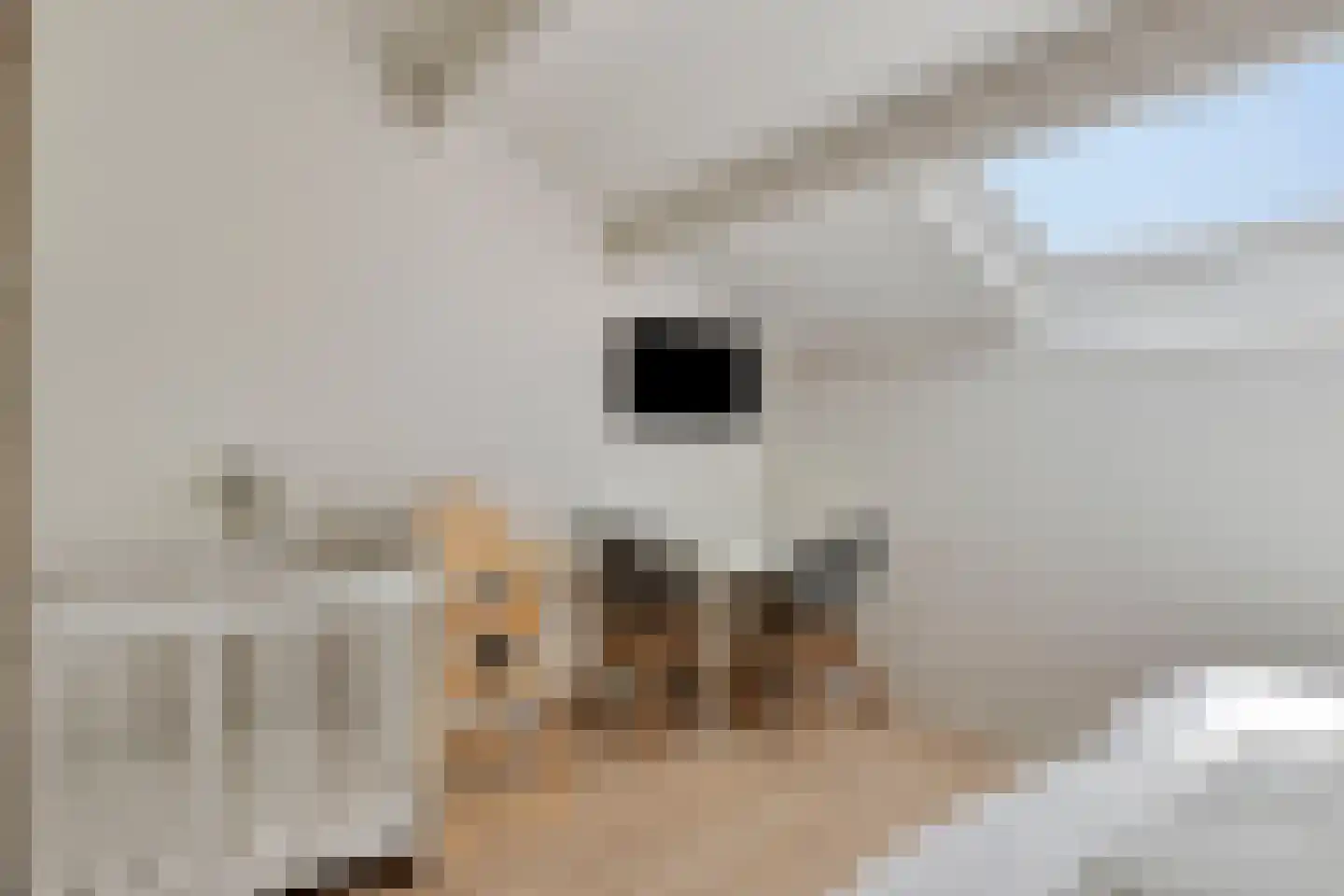 Duinweg 18 F Zoutelande thumbnail 38