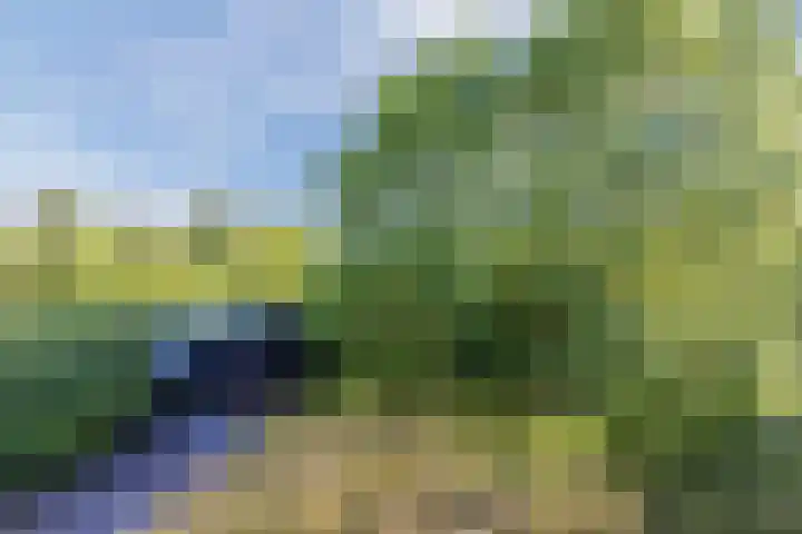 Duinweg 2 d Hellevoetsluis thumbnail 23