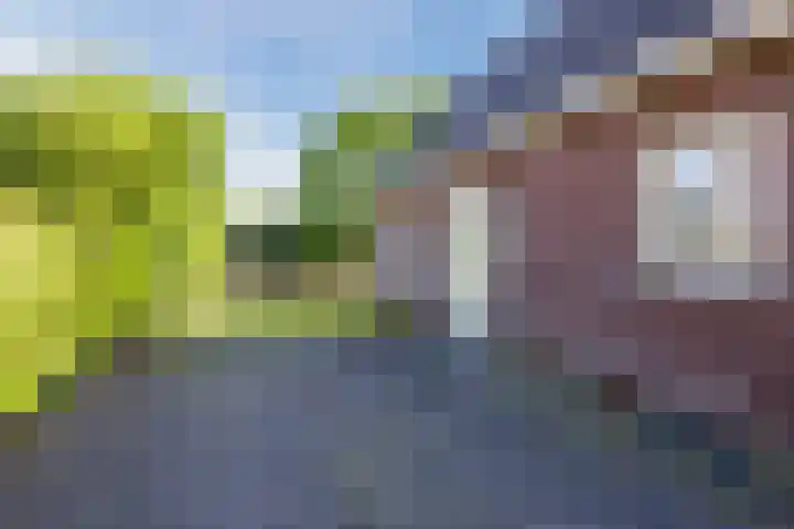 Duinweg 2 d Hellevoetsluis thumbnail 26