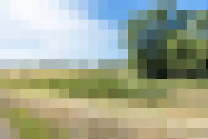 Duinweg 2 d Hellevoetsluis thumbnail 28