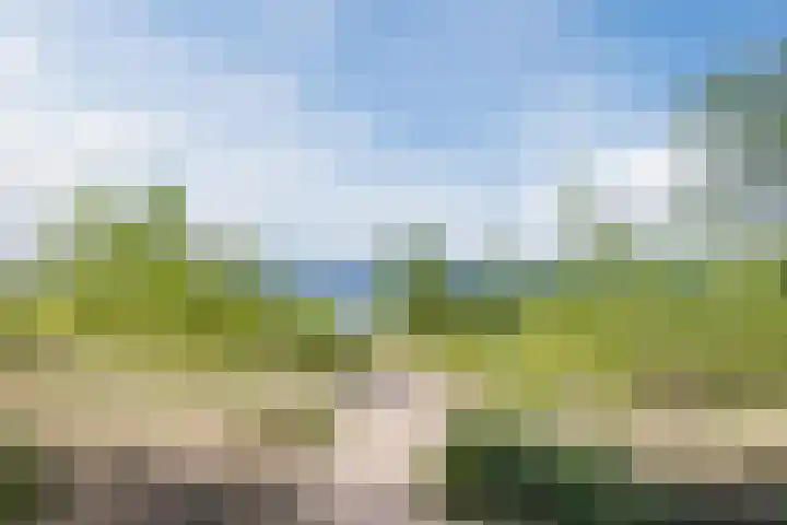 Duinweg 2 d Hellevoetsluis thumbnail 29