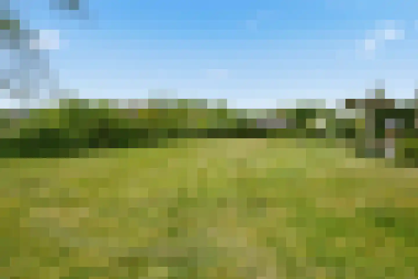 Duinweg 20 Heemskerk thumbnail 29
