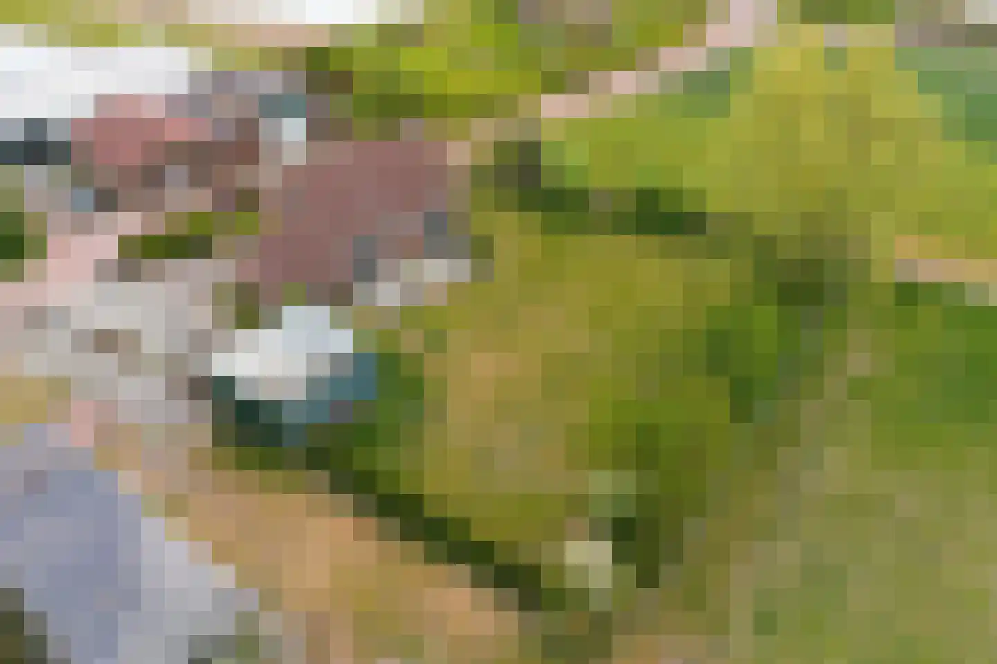 Duinweg 20 Heemskerk thumbnail 51