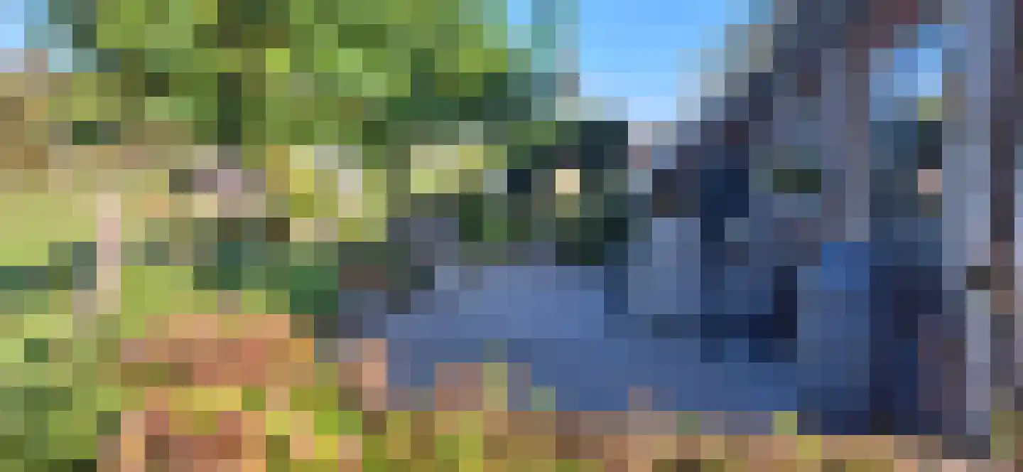 Duinweg 20 Heemskerk thumbnail 57