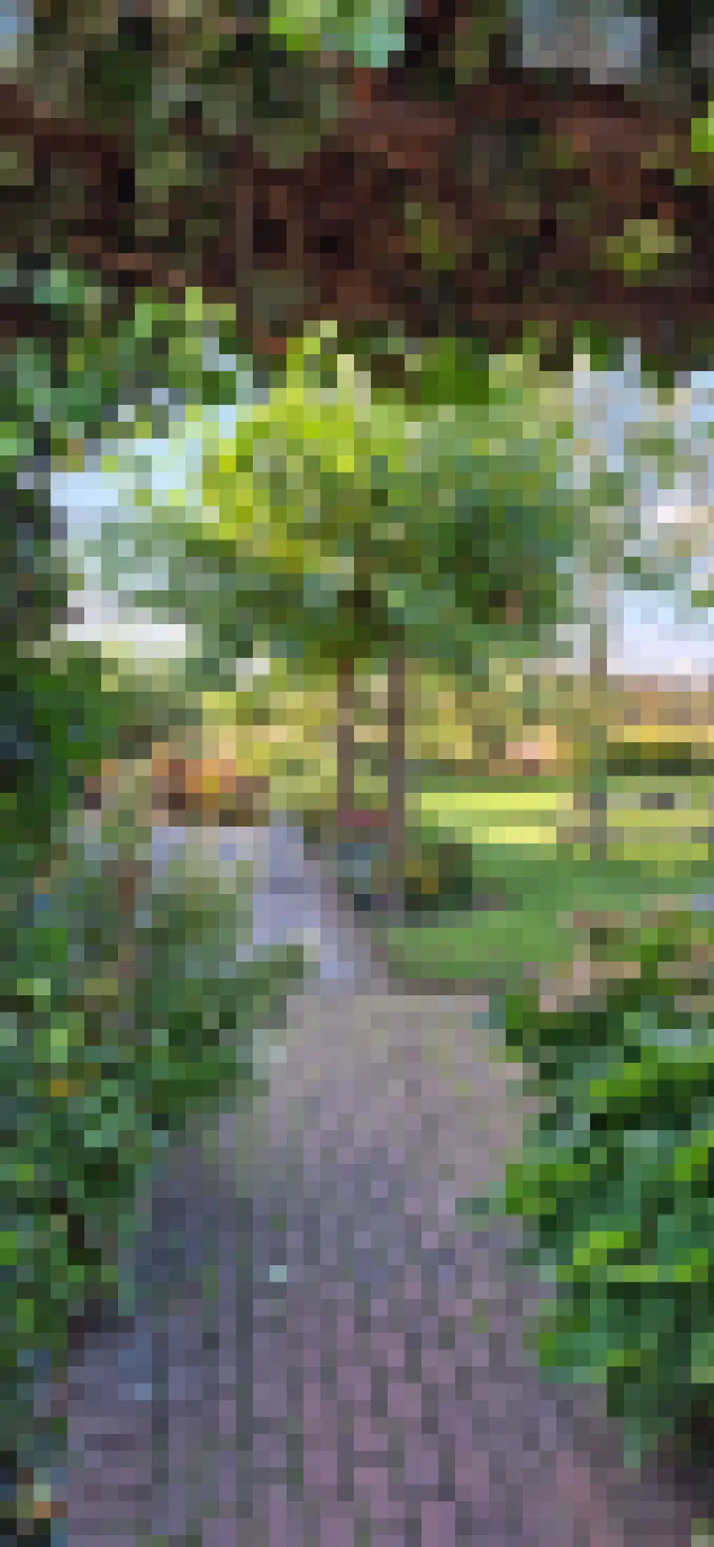 Duinweg 20 Heemskerk thumbnail 58