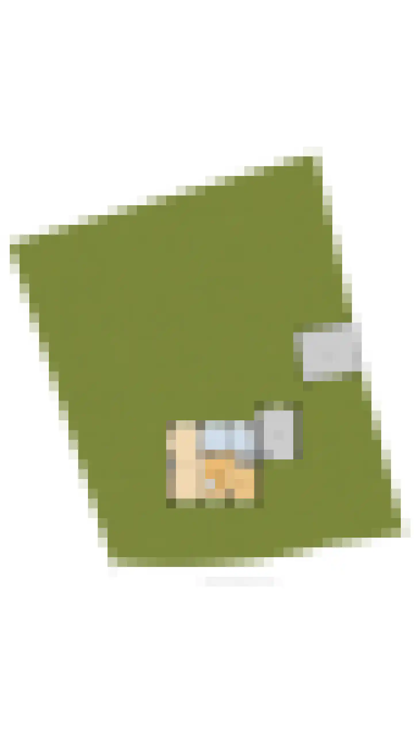 Duinweg 20 Heemskerk thumbnail 62