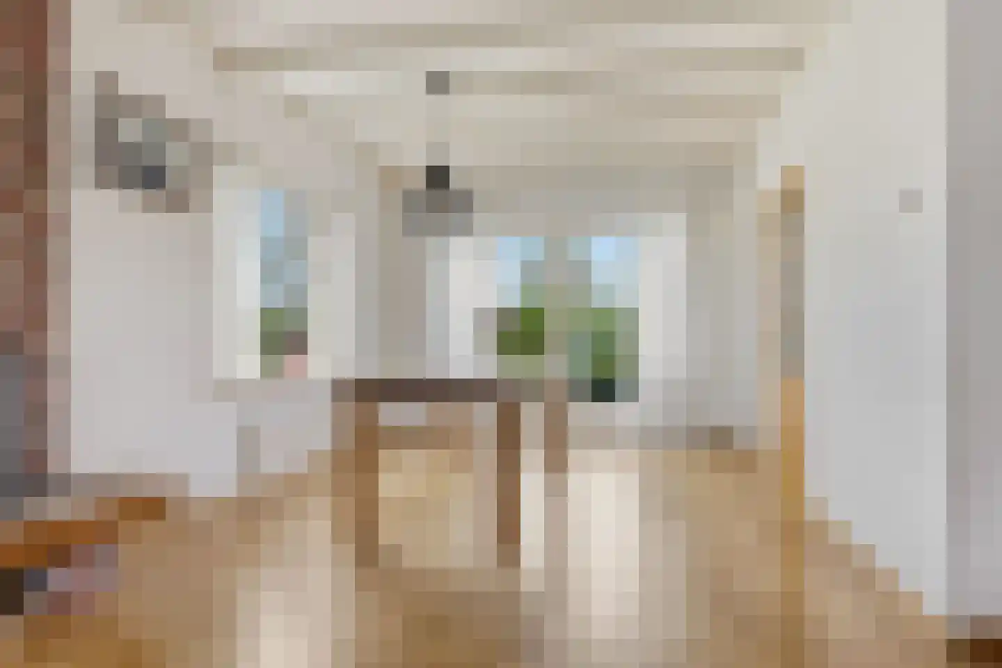 Duinweg 20 Heemskerk thumbnail 8
