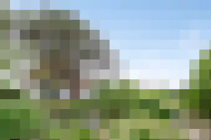 Duinweg 24 Huisduinen thumbnail 21