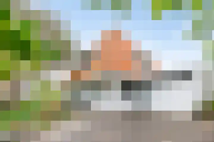 Duinweg 24 Huisduinen thumbnail 39