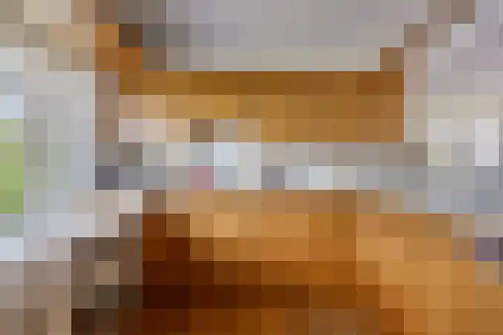 Duinweg 24 Huisduinen thumbnail 4