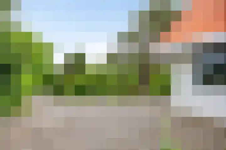 Duinweg 24 Huisduinen thumbnail 40