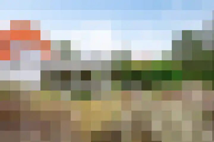 Duinweg 24 Huisduinen thumbnail 42