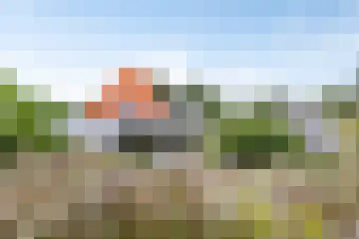 Duinweg 24 Huisduinen thumbnail 43
