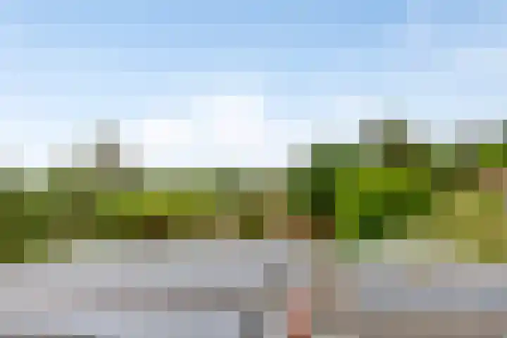Duinweg 24 Huisduinen thumbnail 44