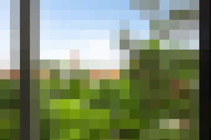 Duinweg 24 Huisduinen thumbnail 45