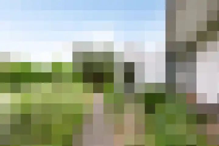 Duinweg 24 Huisduinen thumbnail 46