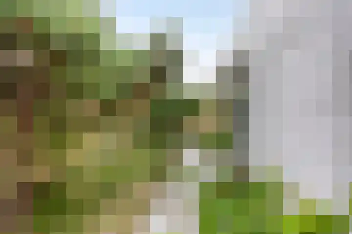 Duinweg 24 Huisduinen thumbnail 47