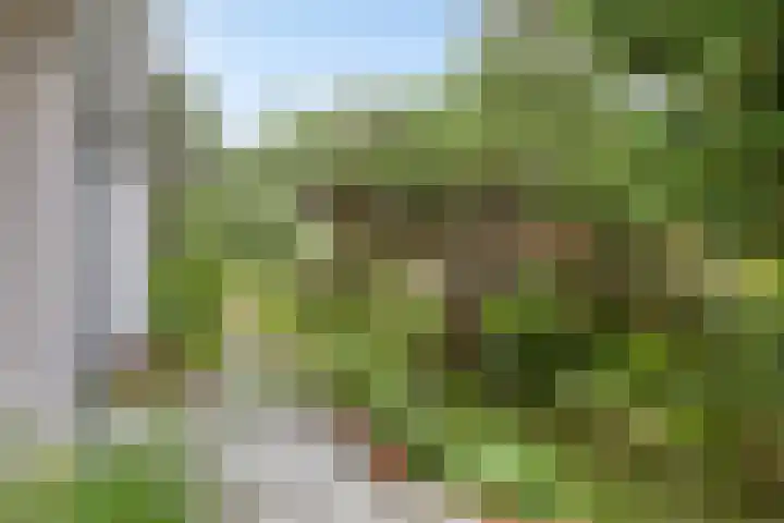 Duinweg 24 Huisduinen thumbnail 48
