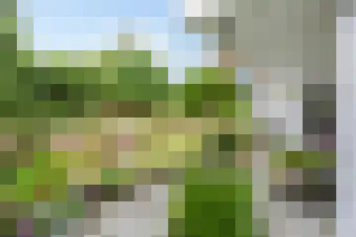 Duinweg 24 Huisduinen thumbnail 49