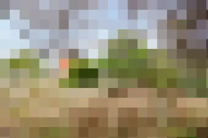 Duinweg 24 Huisduinen thumbnail 50