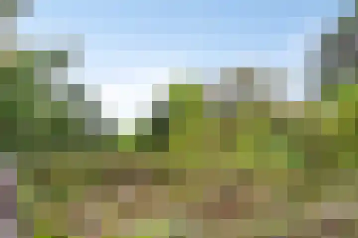 Duinweg 24 Huisduinen thumbnail 51