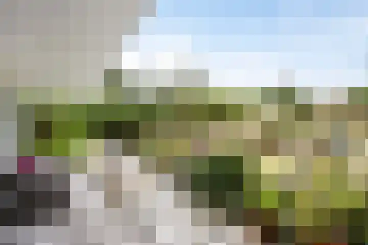 Duinweg 24 Huisduinen thumbnail 52