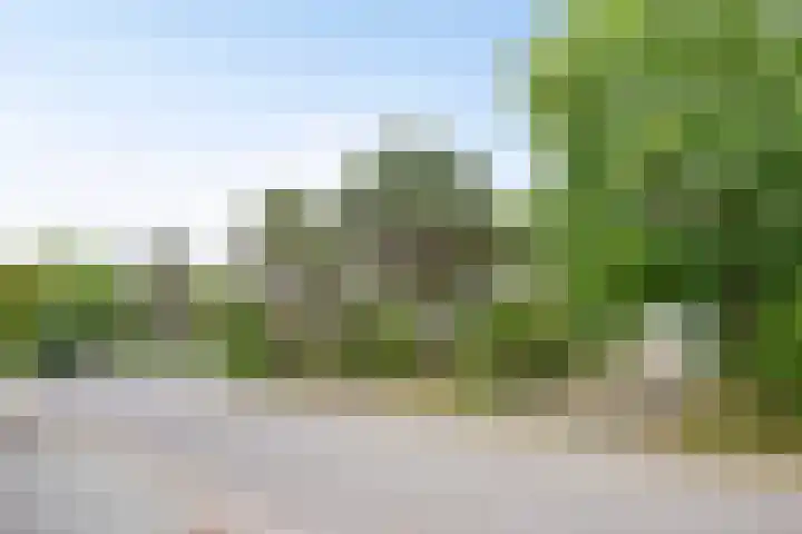 Duinweg 24 Huisduinen thumbnail 53