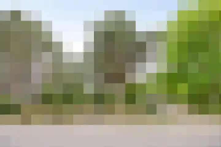 Duinweg 24 Huisduinen thumbnail 54