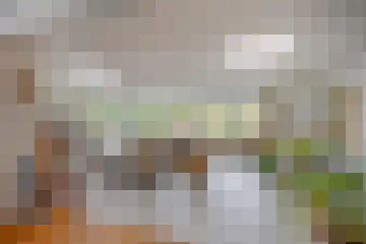 Duinweg 24 Huisduinen thumbnail 8