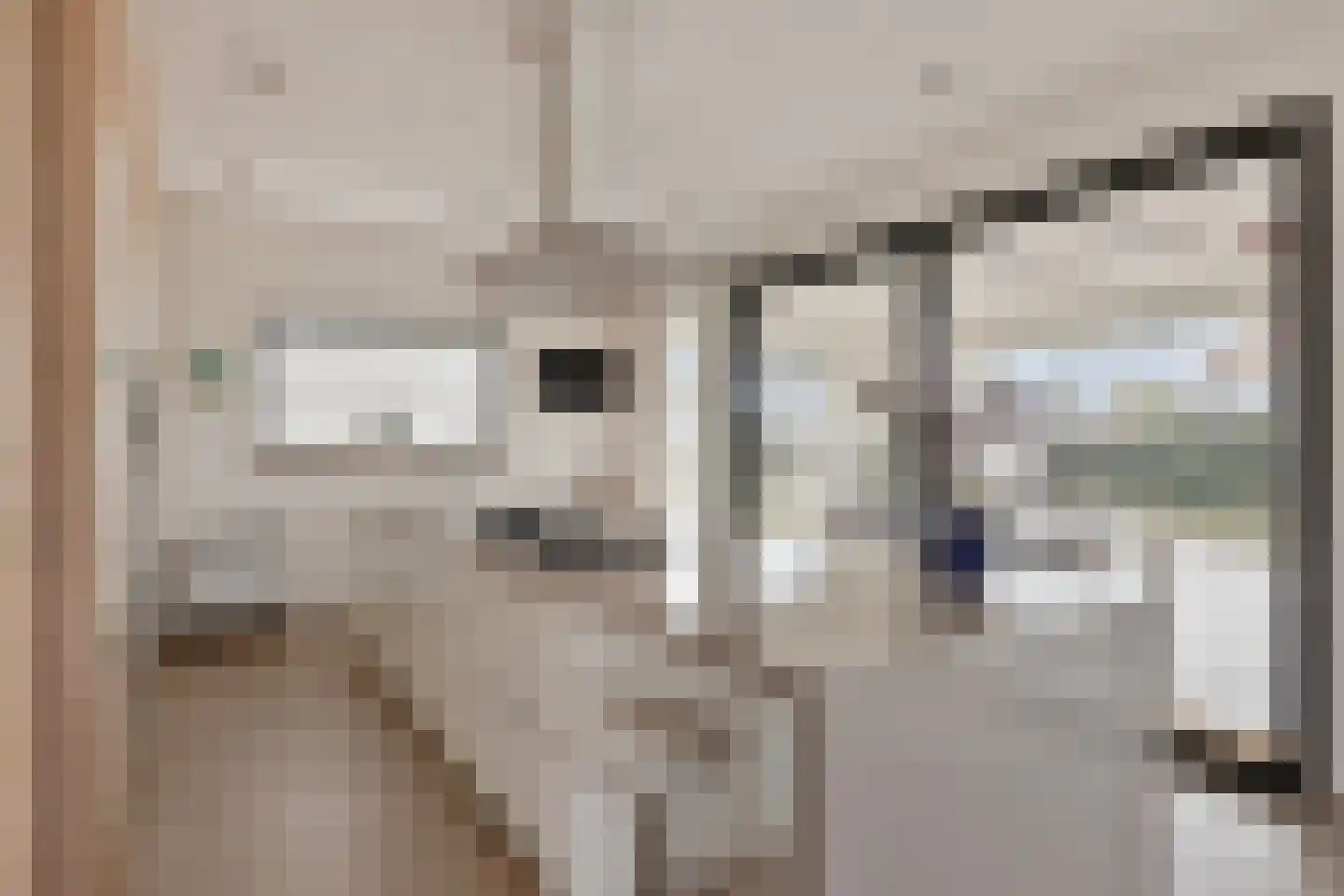 Duinweg 25 Renesse thumbnail 13