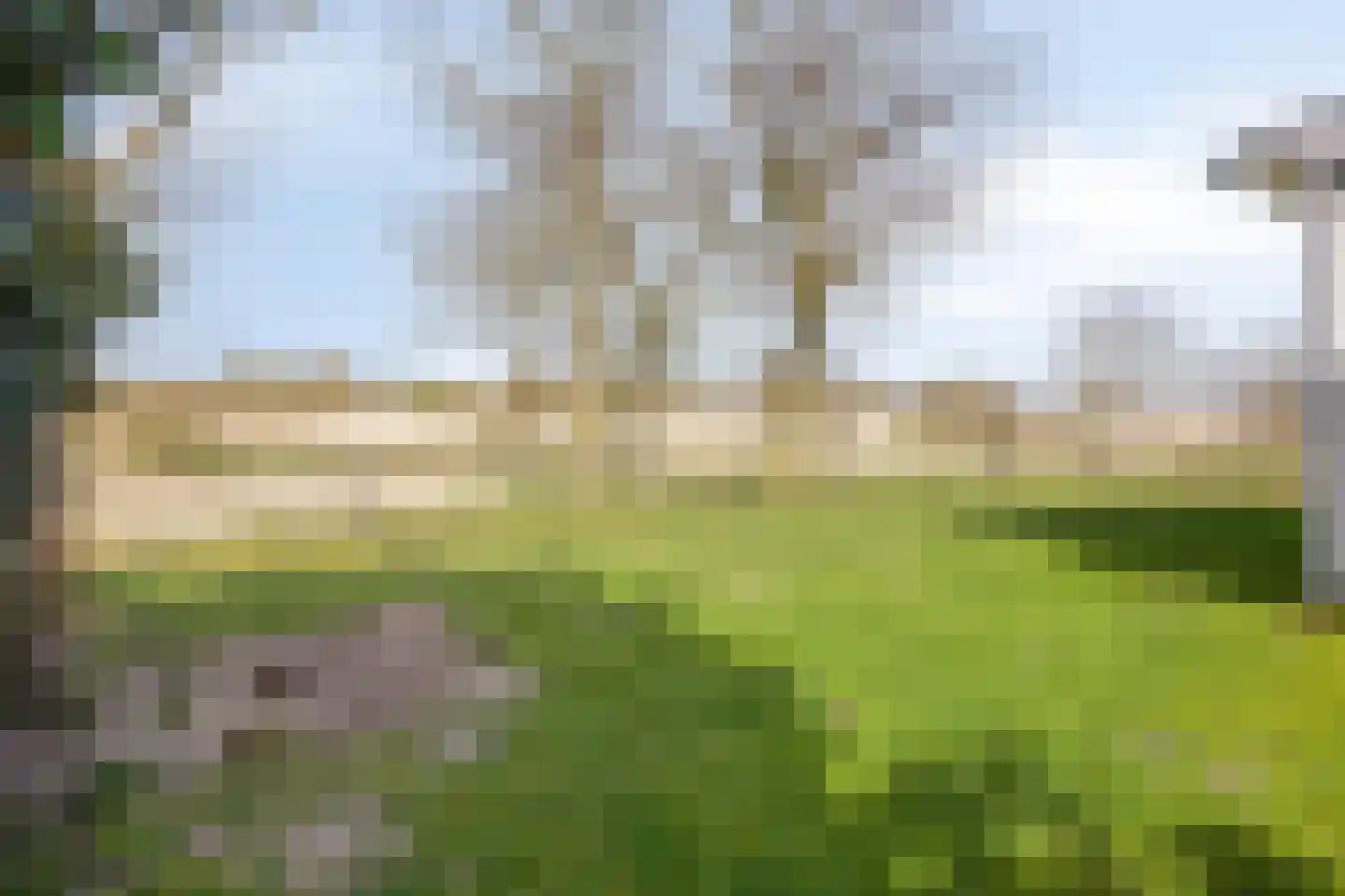 Duinweg 25 Renesse thumbnail 40