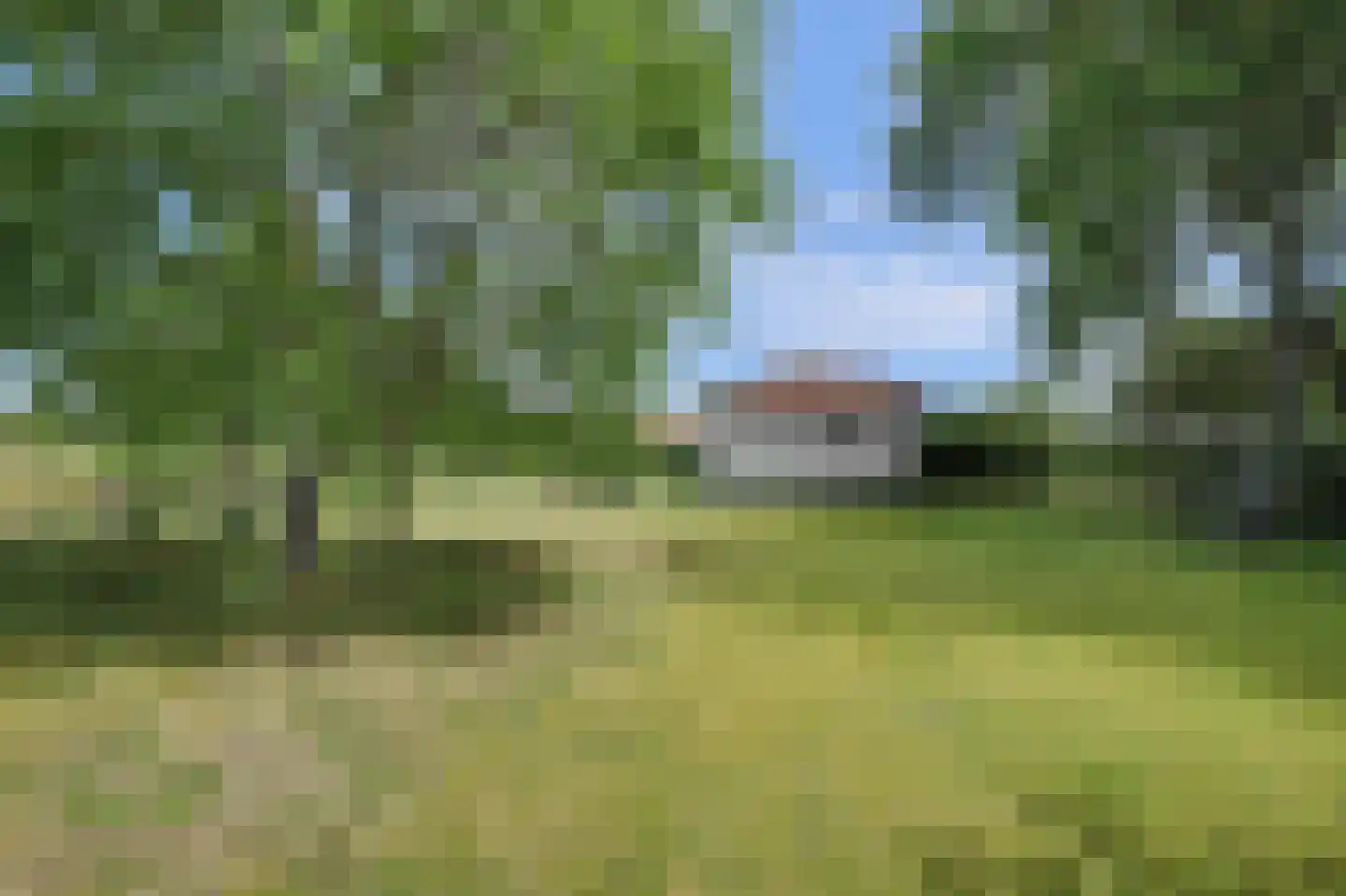 Duinweg 3 Renesse thumbnail 26